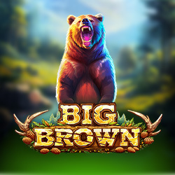 Big Brown