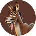 Miner Donkey Trouble